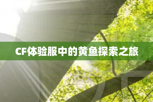 CF体验服中的黄鱼探索之旅