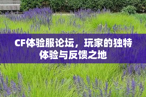 CF体验服论坛，玩家的独特体验与反馈之地