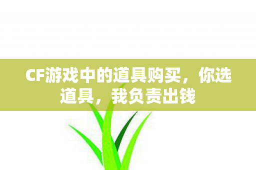 CF游戏中的道具购买，你选道具，我负责出钱