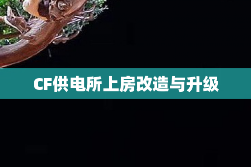 CF供电所上房改造与升级 CF供电所上房改造与升级
