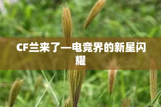 CF兰来了—电竞界的新星闪耀 CF兰来了—电竞界的新星闪耀