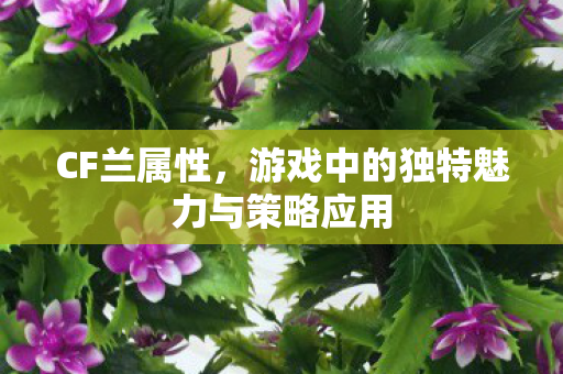 CF兰属性，游戏中的独特魅力与策略应用