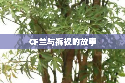 CF兰与裤衩的故事