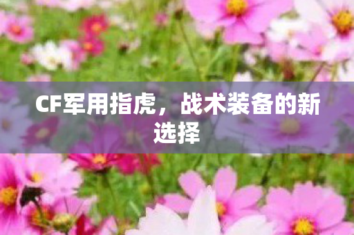 CF军用指虎,战术装备的新选择 CF军用指虎,战术装备的新选择