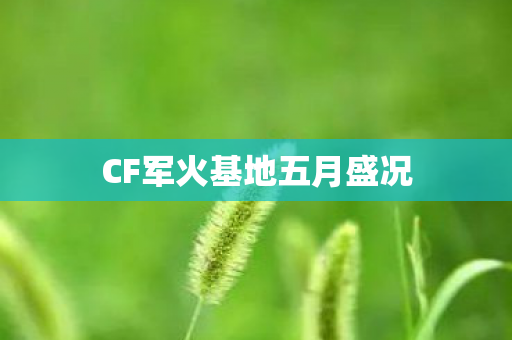 CF军火基地五月盛况