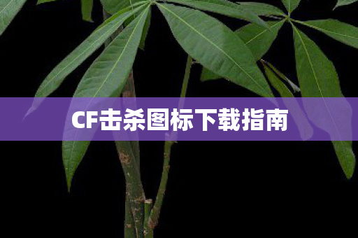 CF击杀图标下载指南 CF击杀图标下载指南