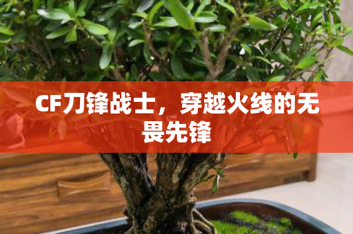 CF刀锋战士,穿越火线的无畏先锋 CF刀锋战士,穿越火线的无畏先锋