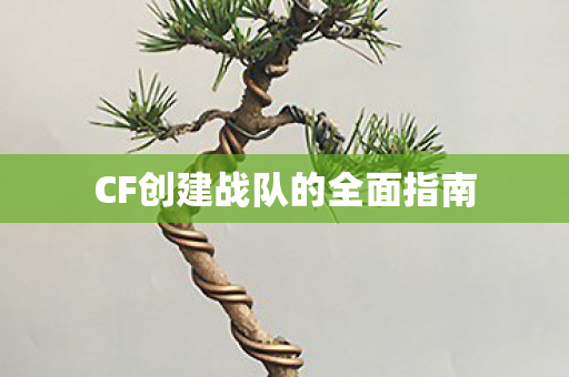 CF创建战队的全面指南 CF创建战队的全面指南