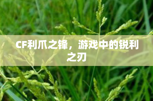 CF利爪之锋,游戏中的锐利之刃 CF利爪之锋,游戏中的锐利之刃