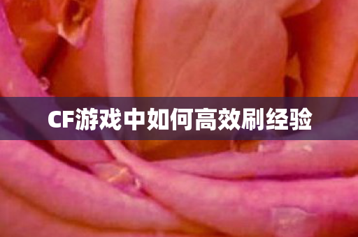 CF游戏中如何高效刷经验 CF游戏中如何高效刷经验