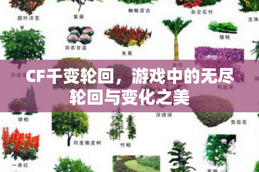 CF千变轮回,游戏中的无尽轮回与变化之美 CF千变轮回,游戏中的无尽轮回与变化之美