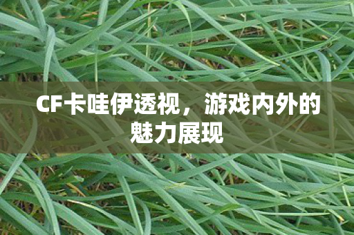 CF卡哇伊透视,游戏内外的魅力展现 CF卡哇伊透视,游戏内外的魅力展现