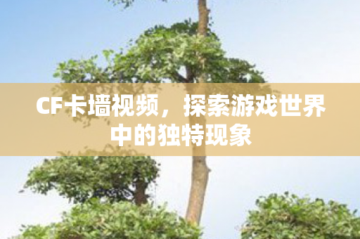 CF卡墙视频,探索游戏世界中的独特现象 CF卡墙视频,探索游戏世界中的独特现象