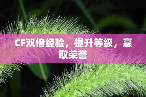 CF双倍经验,提升等级,赢取荣誉 CF双倍经验,提升等级,赢取荣誉