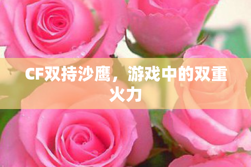 CF双持沙鹰,游戏中的双重火力 CF双持沙鹰,游戏中的双重火力