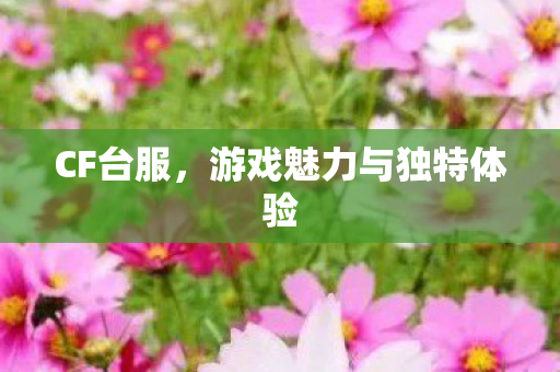 CF台服,游戏魅力与独特体验 CF台服,游戏魅力与独特体验