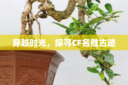 穿越时光，探寻CF名胜古迹
