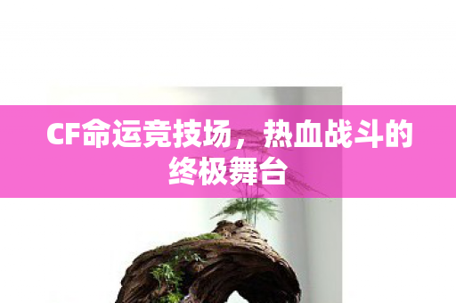 CF命运竞技场，热血战斗的终极舞台