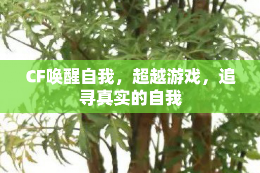 CF唤醒自我,超越游戏,追寻真实的自我 CF唤醒自我,超越游戏,追寻真实的自我