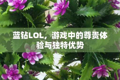 蓝钻LOL,游戏中的尊贵体验与独特优势 蓝钻LOL,游戏中的尊贵体验与独特优势
