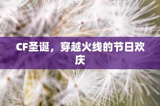 CF圣诞,穿越火线的节日欢庆 CF圣诞,穿越火线的节日欢庆