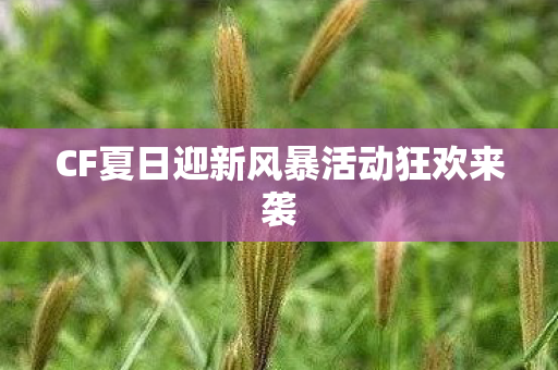 CF夏日迎新风暴活动狂欢来袭