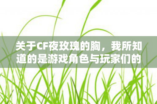 关于CF夜玫瑰的胸，我所知道的是游戏角色与玩家们的情感投射
