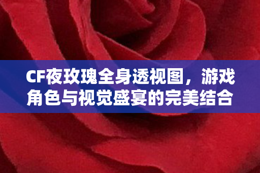 CF夜玫瑰全身透视图,游戏角色与视觉盛宴的完美结合 CF夜玫瑰全身透视图,游戏角色与视觉盛宴的完美结合