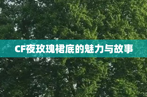 CF夜玫瑰裙底的魅力与故事 CF夜玫瑰裙底的魅力与故事