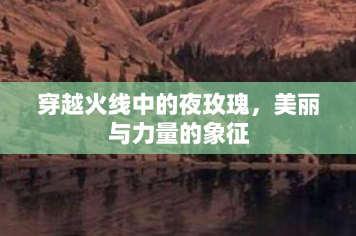 穿越火线中的夜玫瑰,美丽与力量的象征 穿越火线中的夜玫瑰,美丽与力量的象征