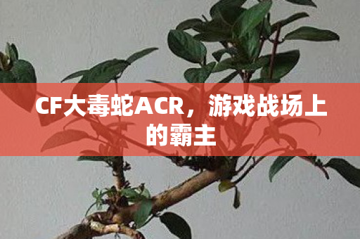 CF大毒蛇ACR,游戏战场上的霸主 CF大毒蛇ACR,游戏战场上的霸主