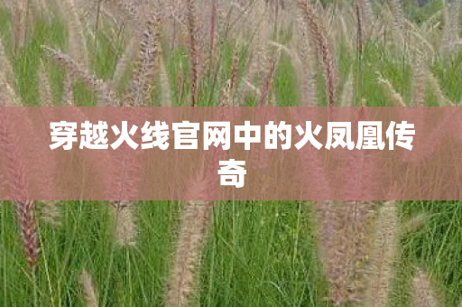 穿越火线官网中的火凤凰传奇 穿越火线官网中的火凤凰传奇