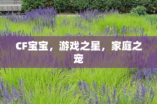 CF宝宝,游戏之星,家庭之宠 CF宝宝,游戏之星,家庭之宠