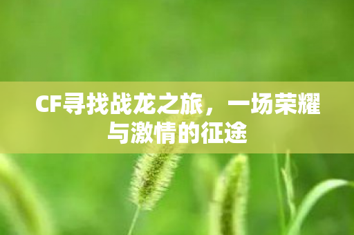 CF寻找战龙之旅,一场荣耀与激情的征途 CF寻找战龙之旅,一场荣耀与激情的征途