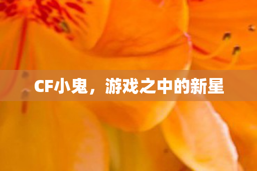 CF小鬼，游戏之中的新星