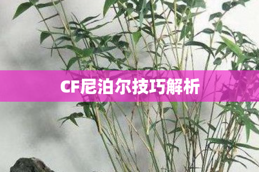 CF尼泊尔技巧解析 CF尼泊尔技巧解析