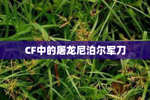 CF中的屠龙尼泊尔军刀 CF中的屠龙尼泊尔军刀