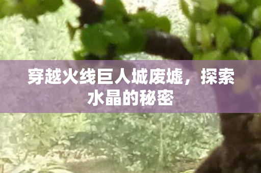穿越火线巨人城废墟,探索水晶的秘密 穿越火线巨人城废墟,探索水晶的秘密