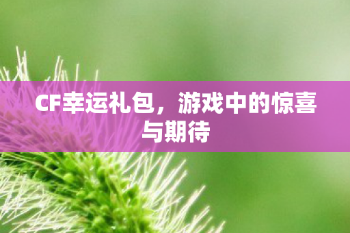 CF幸运礼包,游戏中的惊喜与期待 CF幸运礼包,游戏中的惊喜与期待
