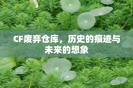 CF废弃仓库,历史的痕迹与未来的想象 CF废弃仓库,历史的痕迹与未来的想象