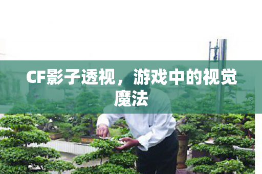 CF影子透视,游戏中的视觉魔法 CF影子透视,游戏中的视觉魔法