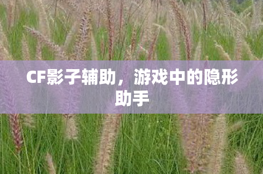 CF影子辅助,游戏中的隐形助手 CF影子辅助,游戏中的隐形助手