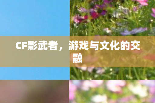 CF影武者,游戏与文化的交融 CF影武者,游戏与文化的交融