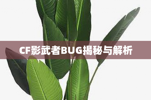 CF影武者BUG揭秘与解析 CF影武者BUG揭秘与解析