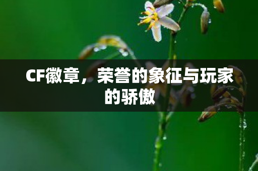CF徽章,荣誉的象征与玩家的骄傲 CF徽章,荣誉的象征与玩家的骄傲
