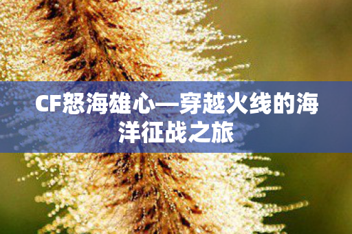 CF怒海雄心—穿越火线的海洋征战之旅