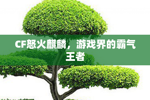 CF怒火麒麟,游戏界的霸气王者 CF怒火麒麟,游戏界的霸气王者