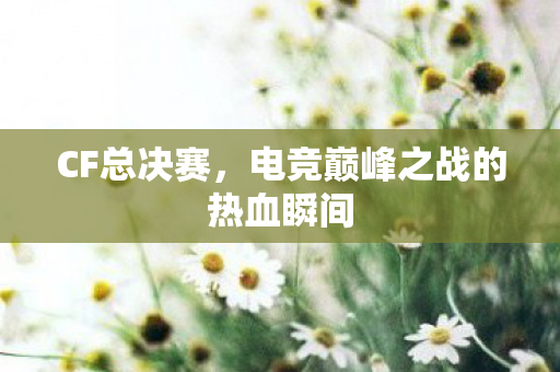 CF总决赛，电竞巅峰之战的热血瞬间