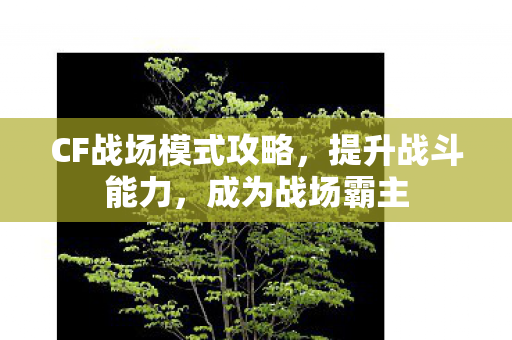 CF战场模式攻略,提升战斗能力,成为战场霸主 CF战场模式攻略,提升战斗能力,成为战场霸主