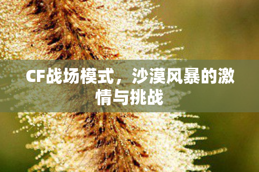 CF战场模式，沙漠风暴的激情与挑战